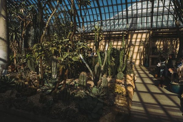 Quelles techniques pour une serre productive en hiver ?