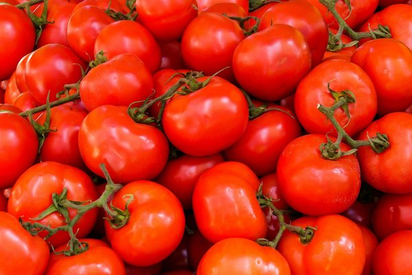 Top conseils pour choisir des graines de tomates reproductibles